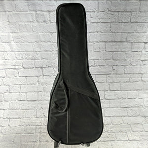 Unknown Foam Case  Acoustic Guitar