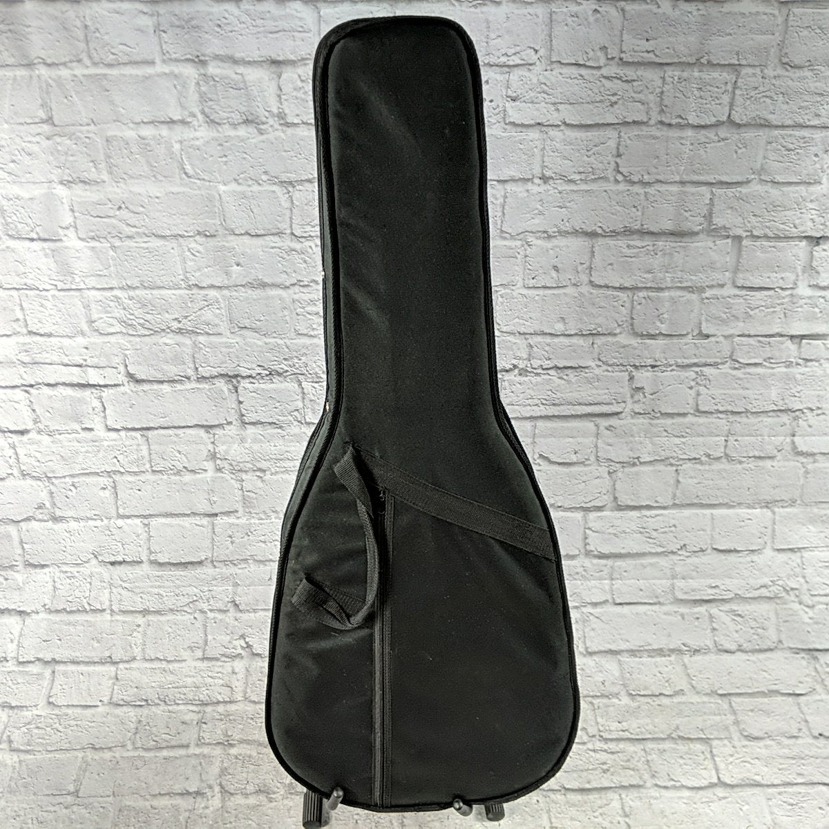 Unknown Foam Case  Acoustic Guitar