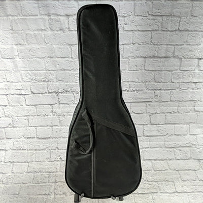 Unknown Foam Case  Acoustic Guitar