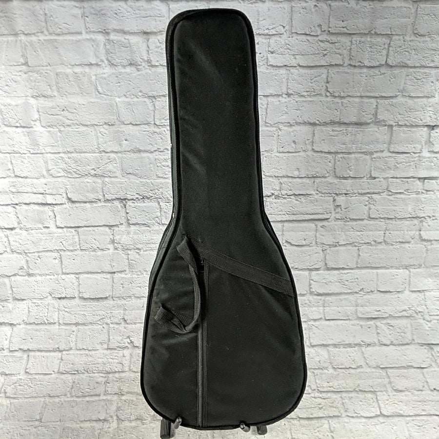 Unknown Foam Case  Acoustic Guitar
