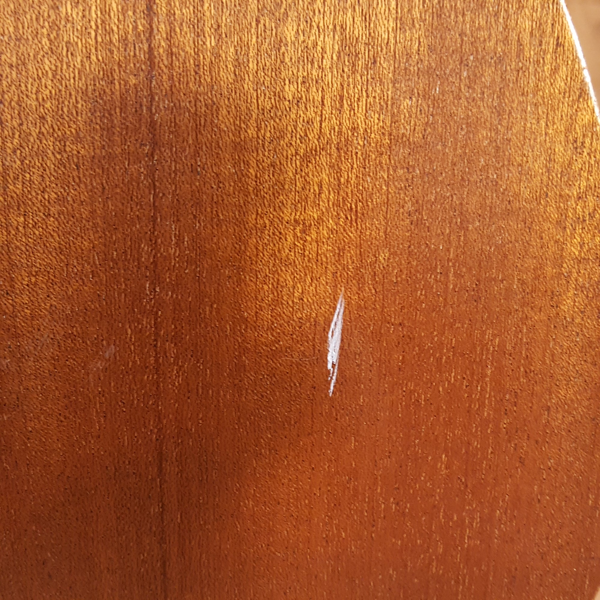 Peavey Max 115 Bass Combo Amp