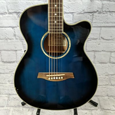 Ibanez AEG10E Acoustic Guitar