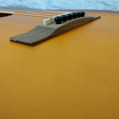 Recording King RPH-P2-TS Acoustic Guitar AS IS
