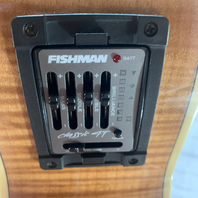 Breedlove AC250/SF Plus w/ Original Case