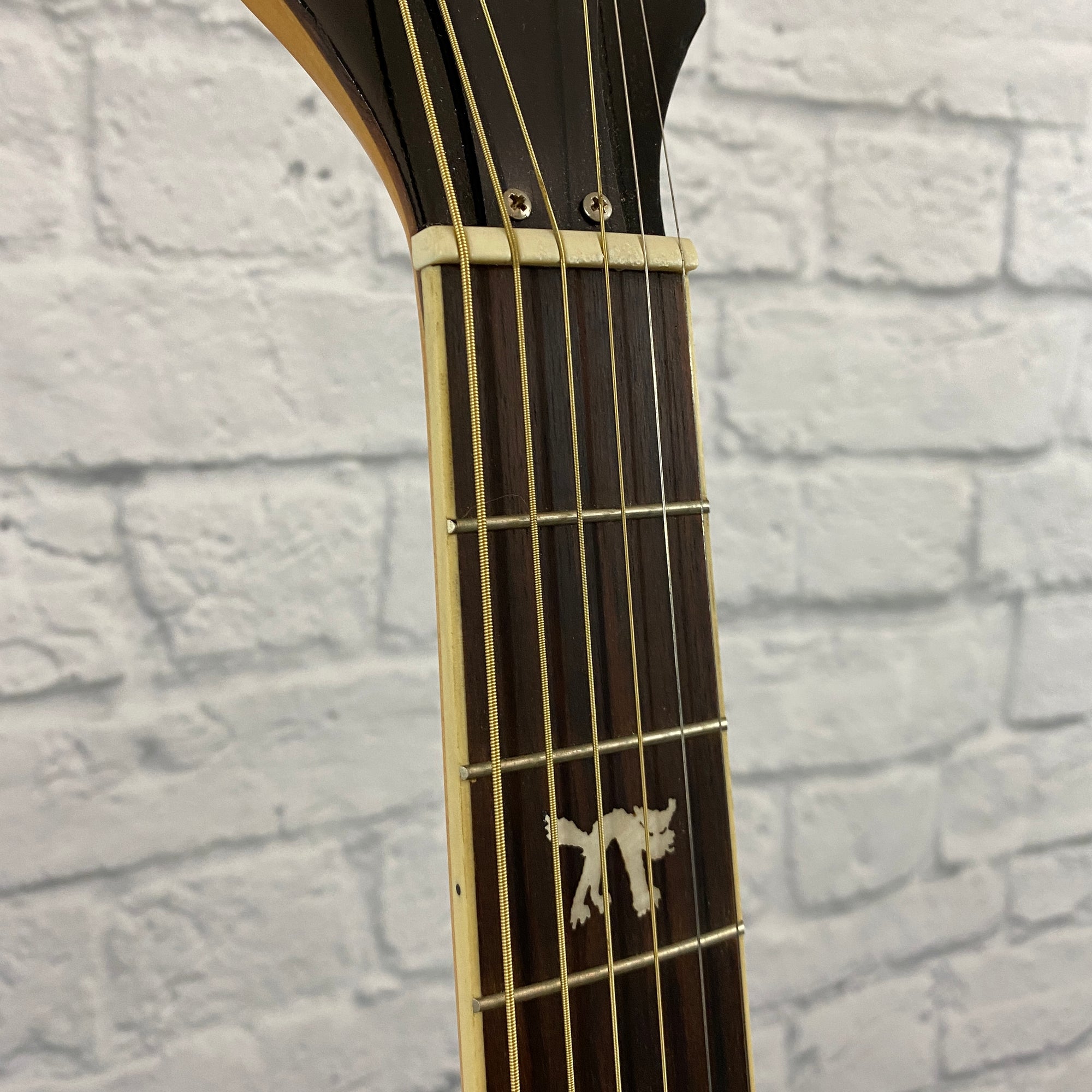 Fender Tim Armstrong Hellcat Acoustic/Electric