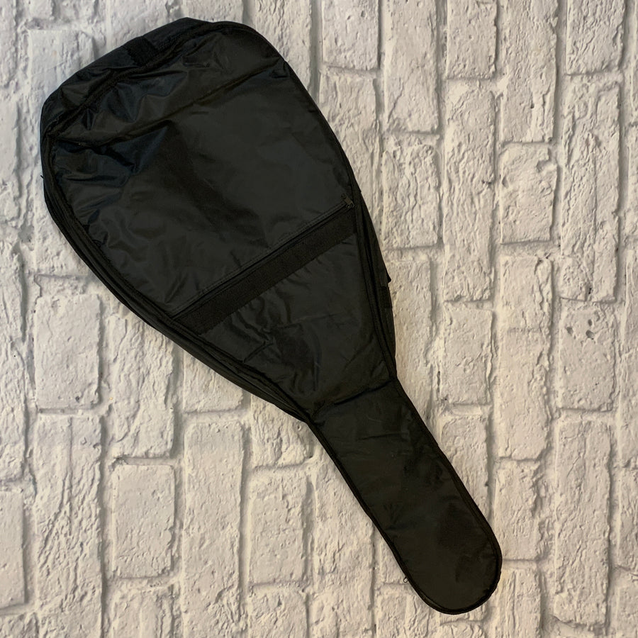 Unknown Padded Acoustic Gig Bag