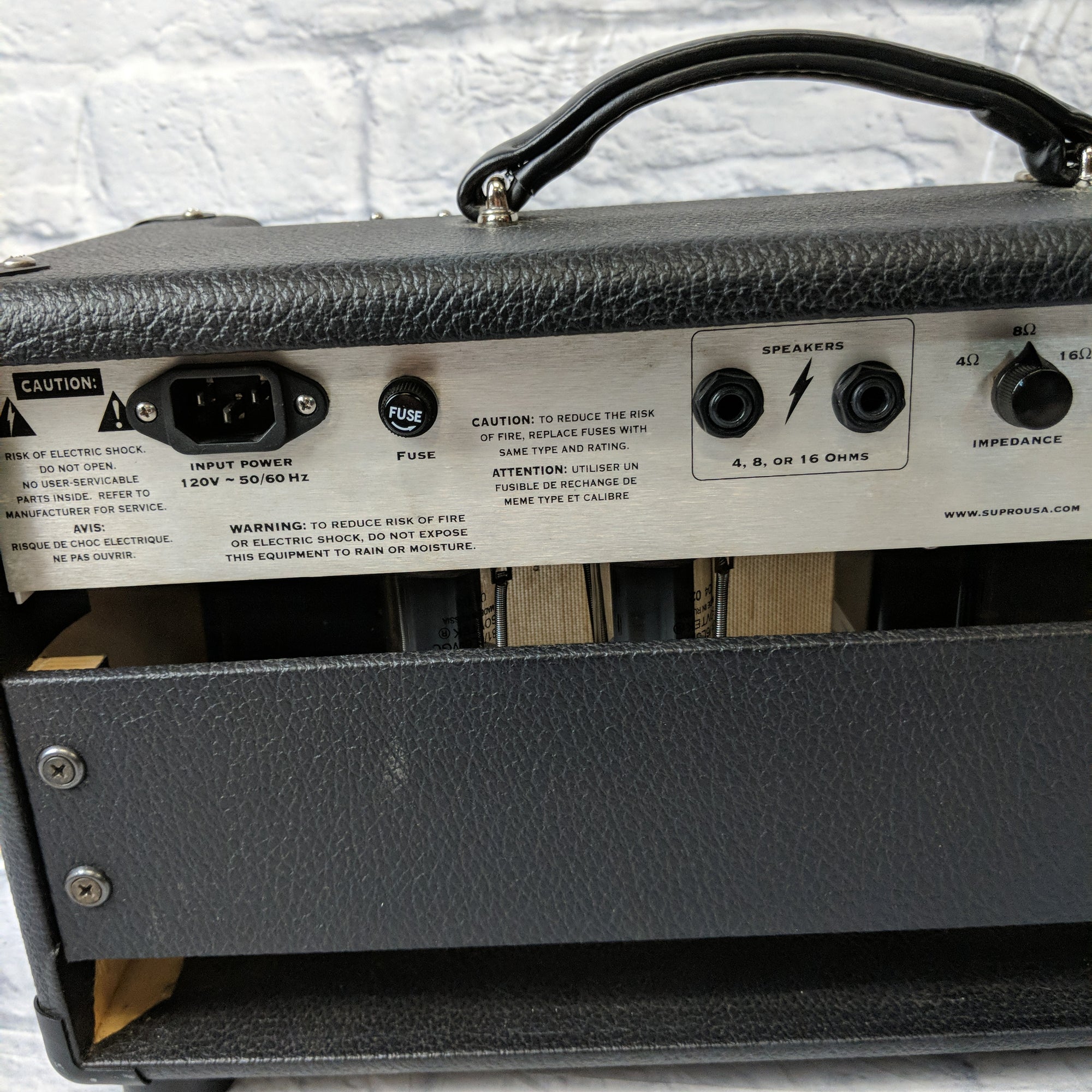 Zinky Thorn amp head Guitar Amp Head