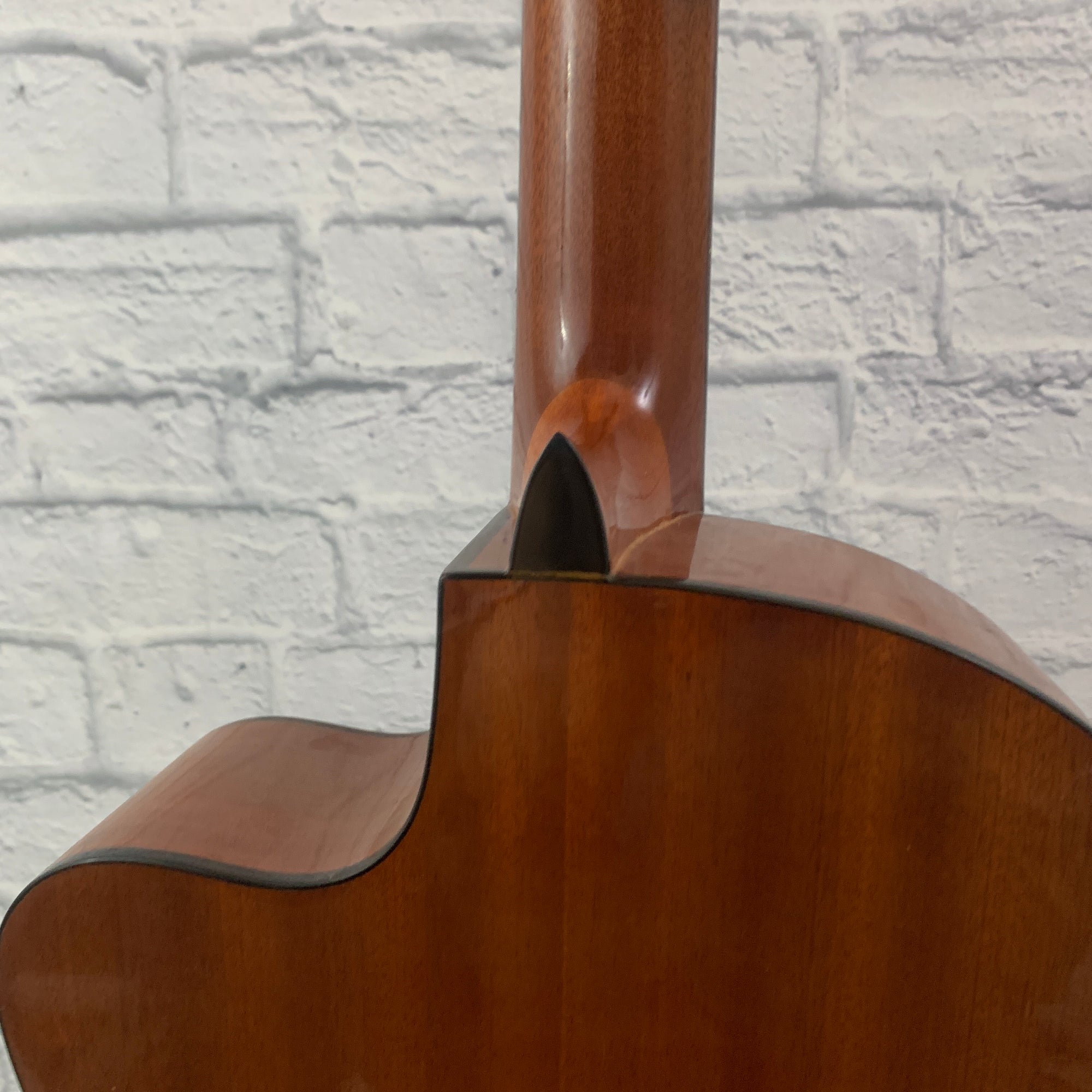 Protege by Cordoba C1-CE Classical Acoustic-Electric Guitar w/ Gig Bag