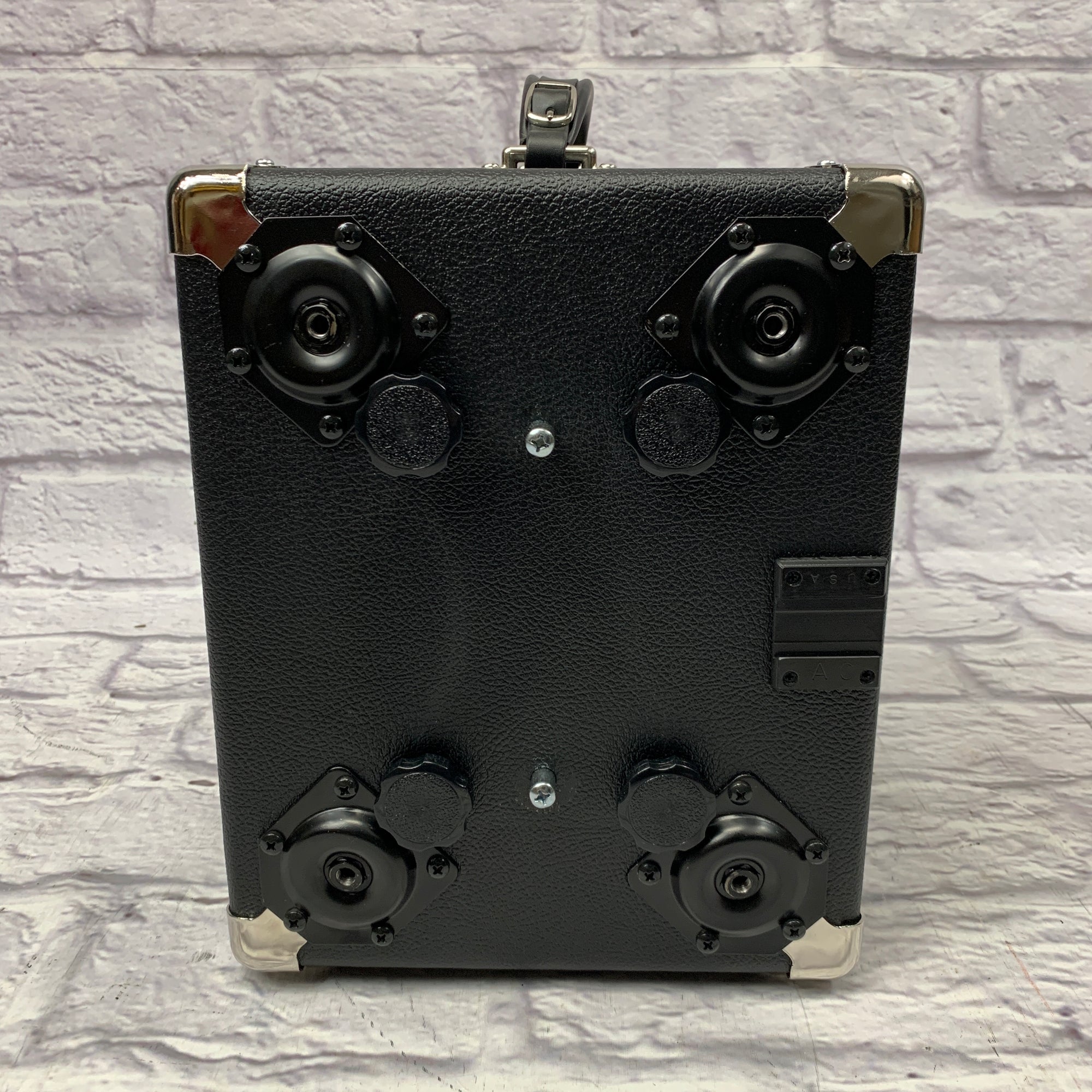 DV Mark DV Little GH250 Tube Head & Custom 10" Cabinet