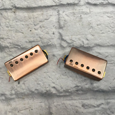Axl Badwater Alnico Humbucker Pickup Set