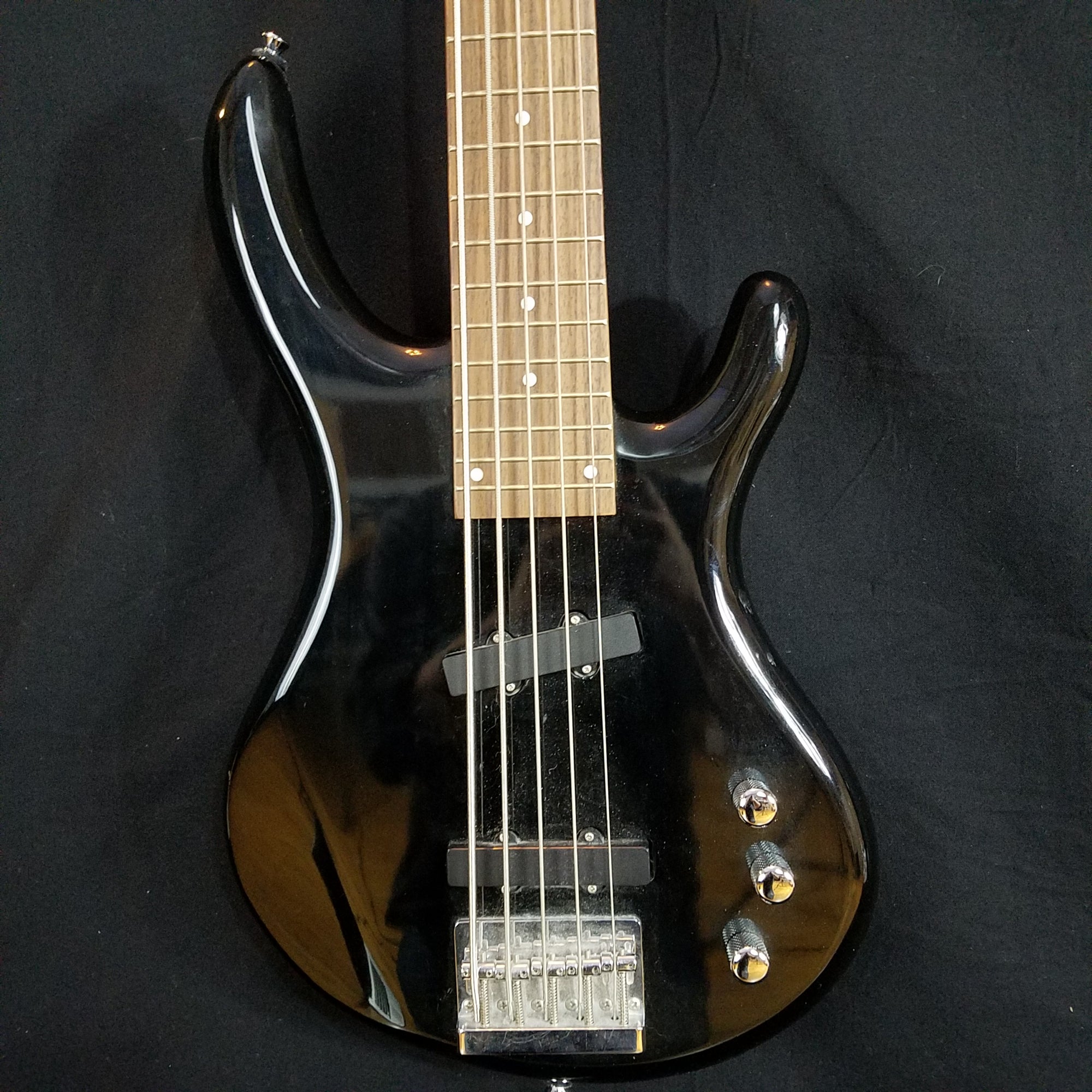 Arbor 5 String Bass