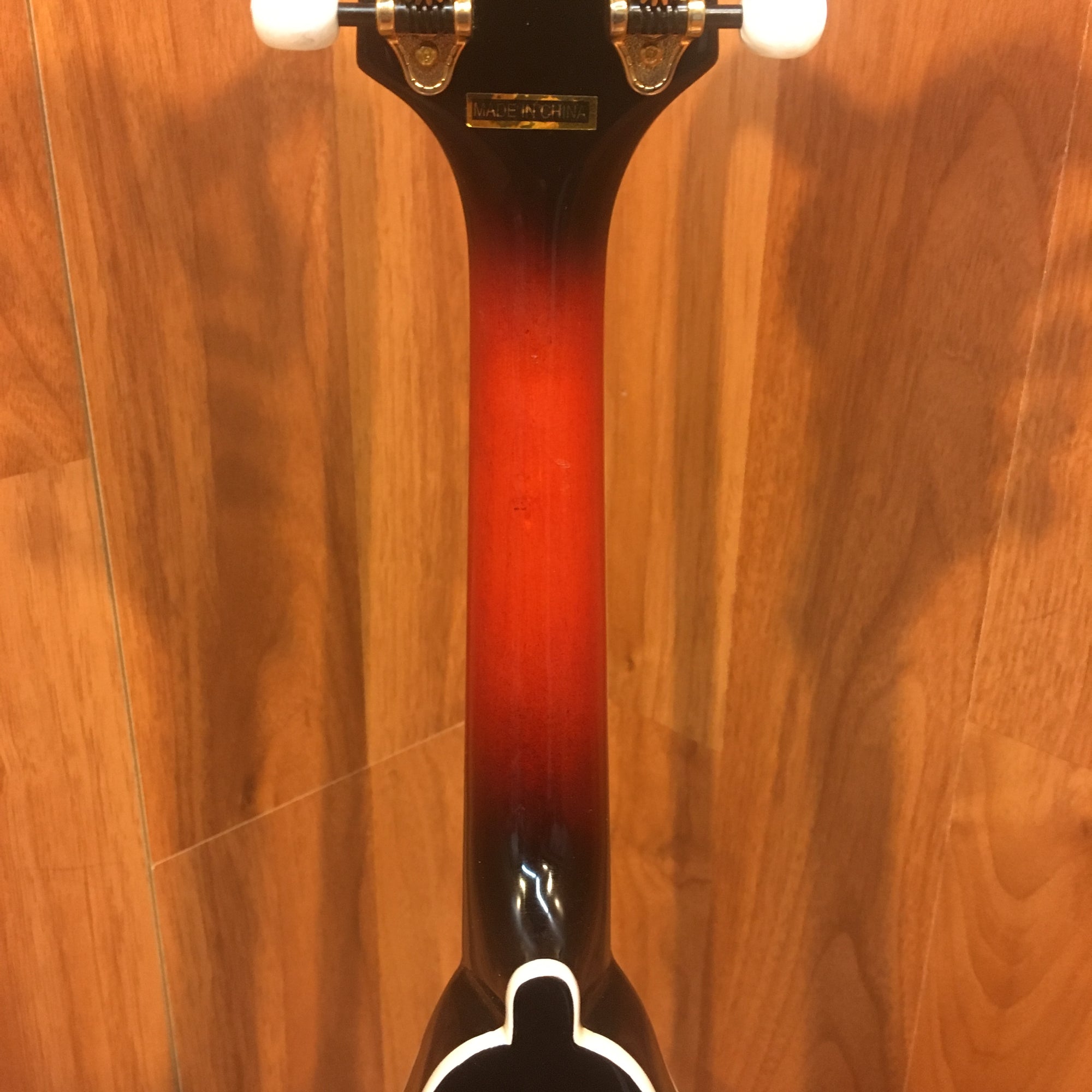 Michael Kelly AO A Mandolin