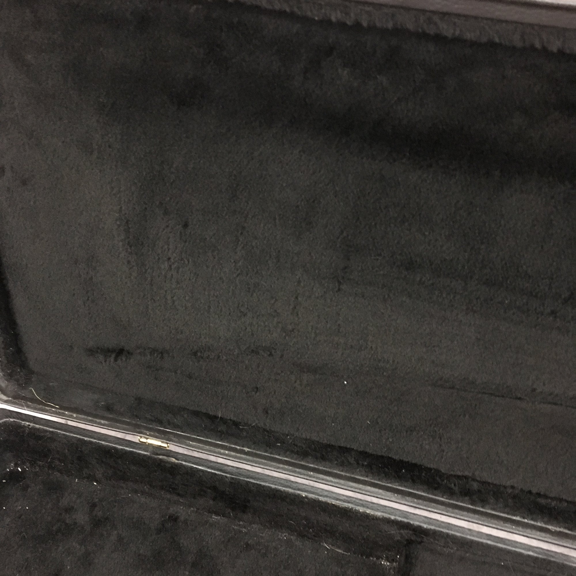 Unknown Hard Shell Bass Case