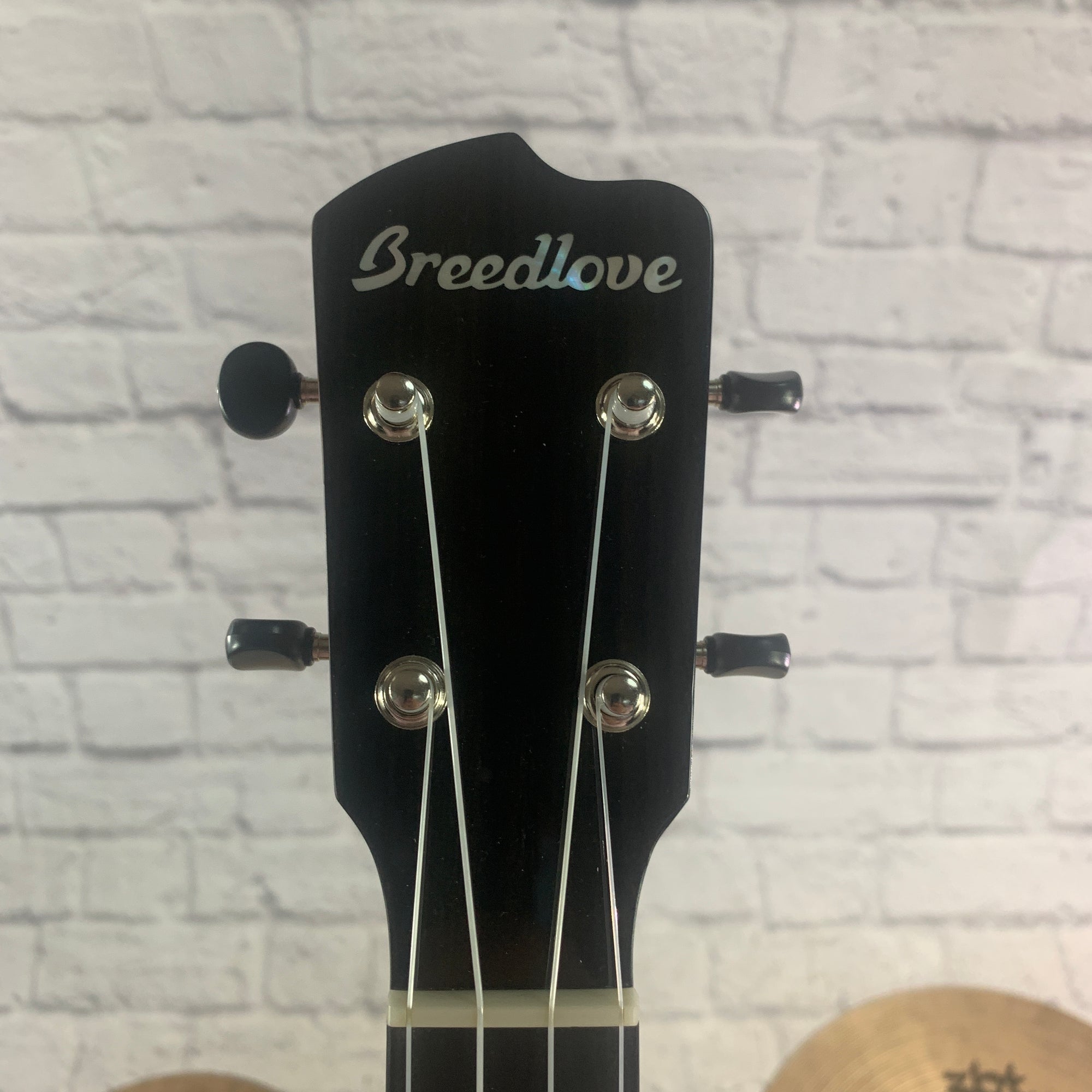 Breedlove Ex Cu Ce Bo Ukulele