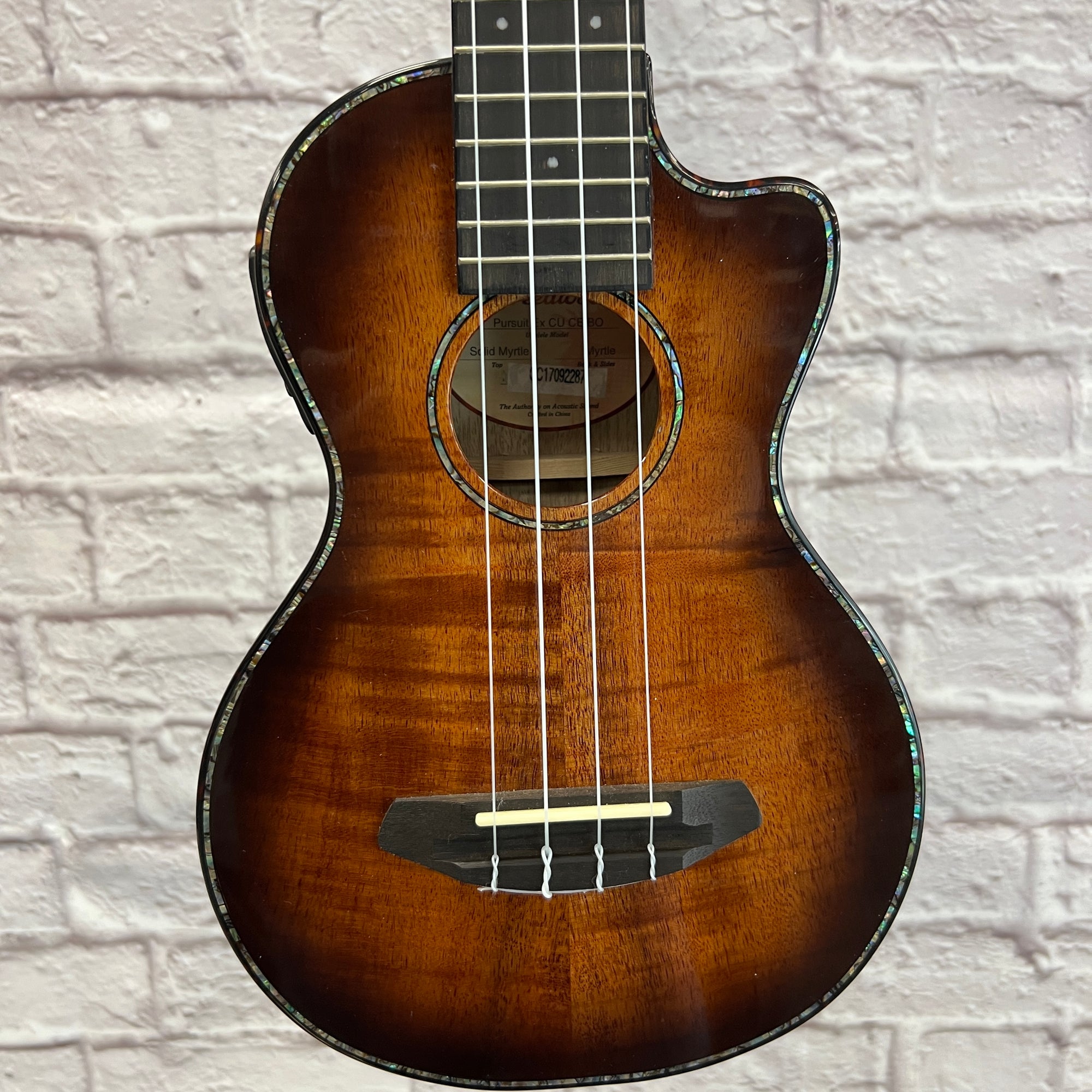 Breedlove Pursuit Ex CU CE BO Ukuleles