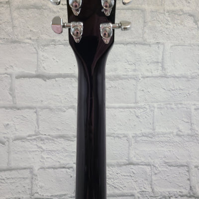 Oscar Schmidt Delta King Hollowbody Electric