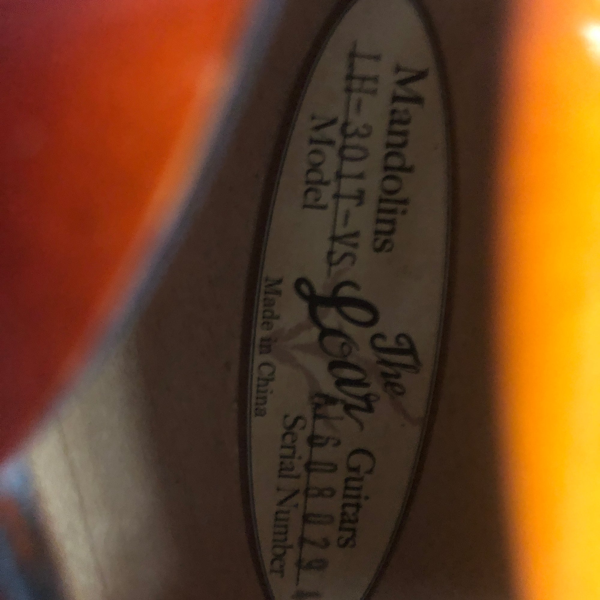 Loar LH301T Hollow Body Electric Guitar