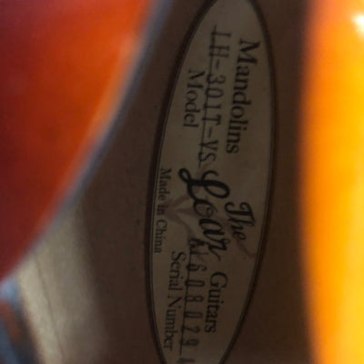 Loar LH301T Hollow Body Electric Guitar