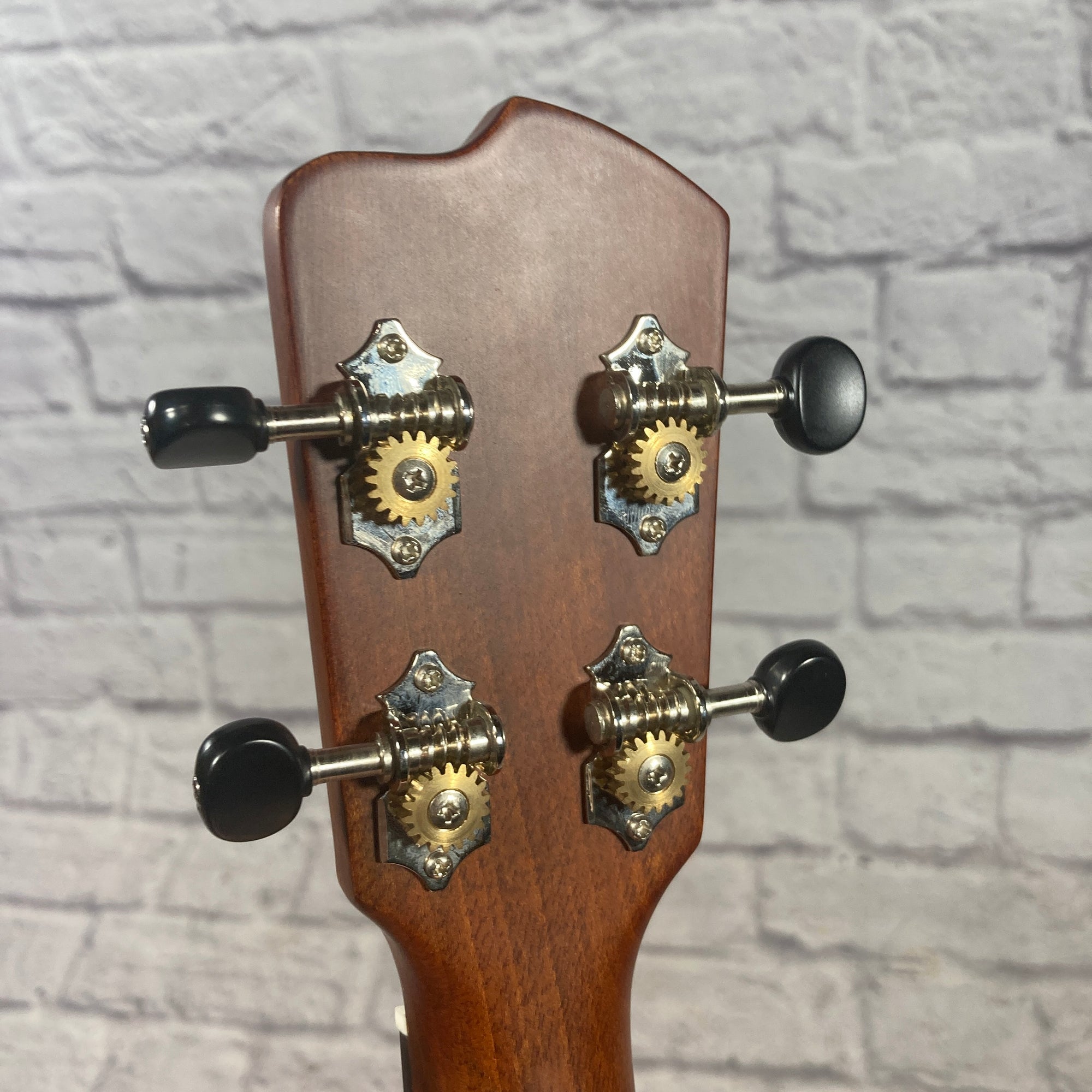 Breedlove Pursuit Ex CU CE BO
