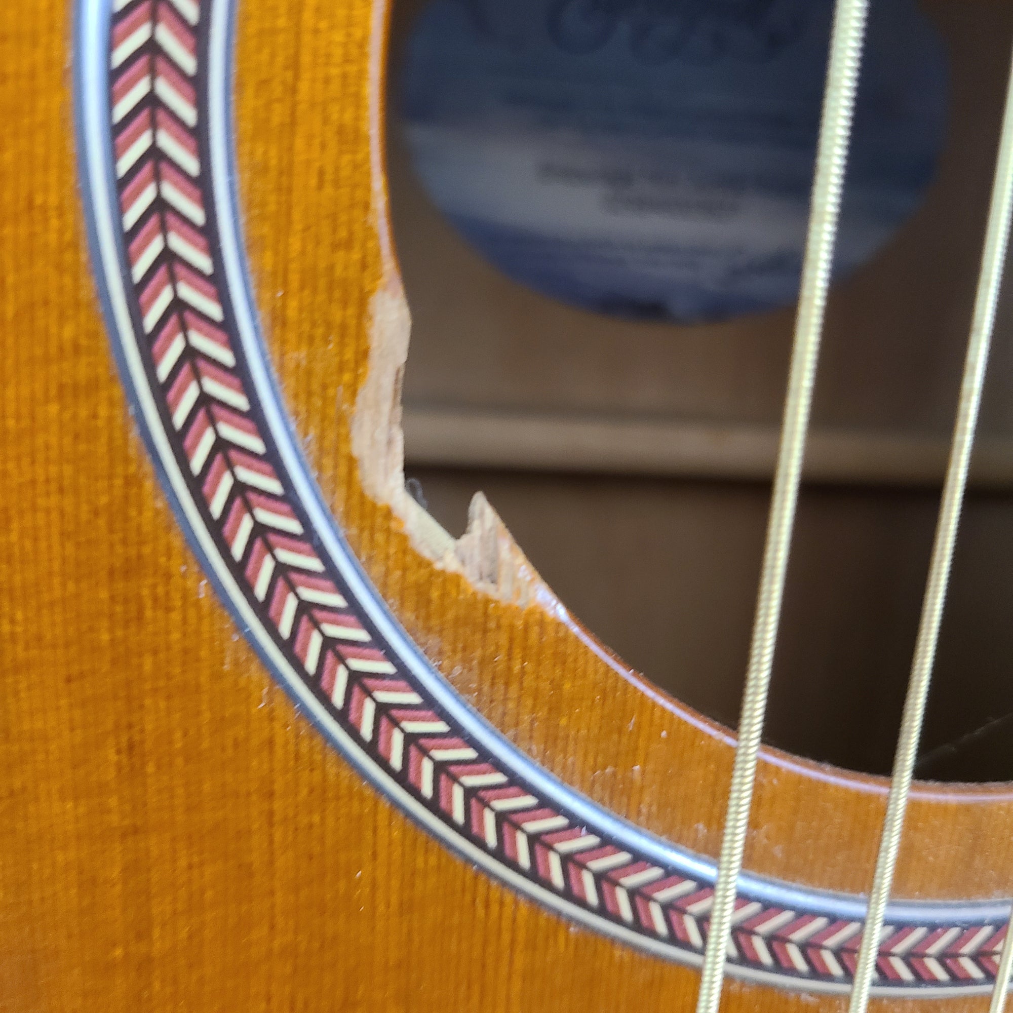 Seagull Entourage Mini Jumbo Acoustic Guitar AS IS