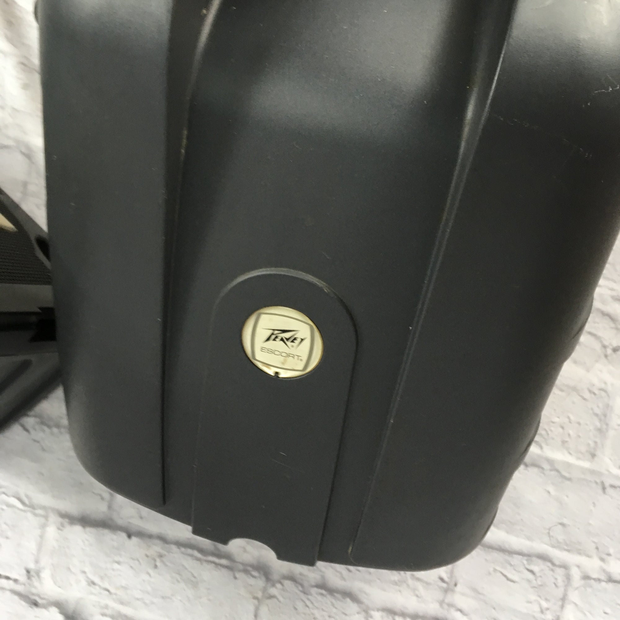Peavey Encore Speaker Pair Only