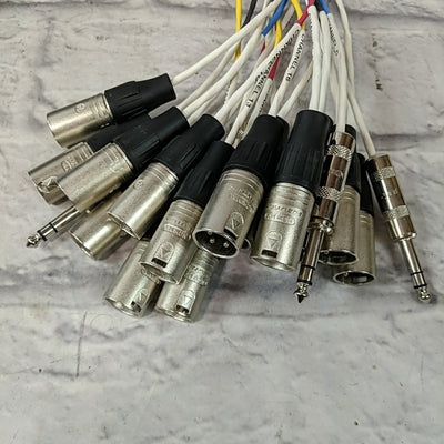 Livewire gc100e20s 16 x 4 100 Foot Snake