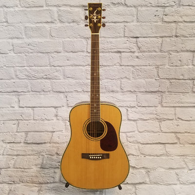 Ventura V5NAT Acoustic Guitar
