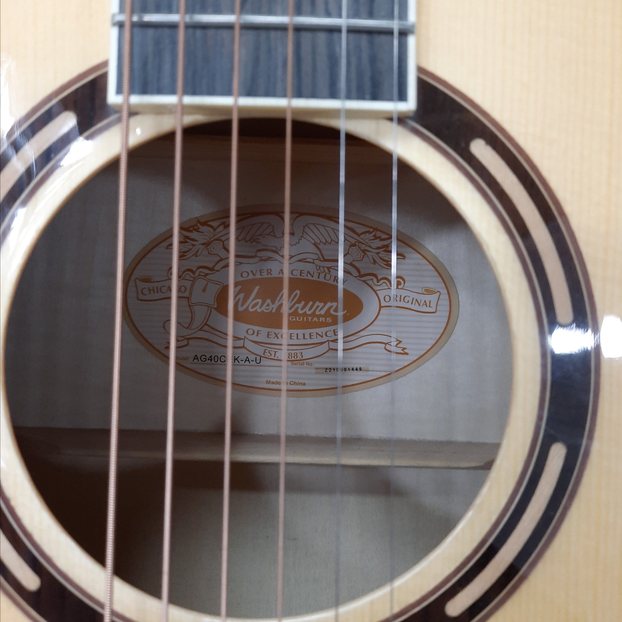 Washburn AG40CEK-A-U Arch top Guitar w/Hardcase