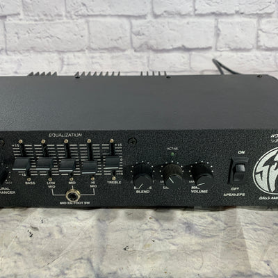 SWR Workingmans 300 Bass Head