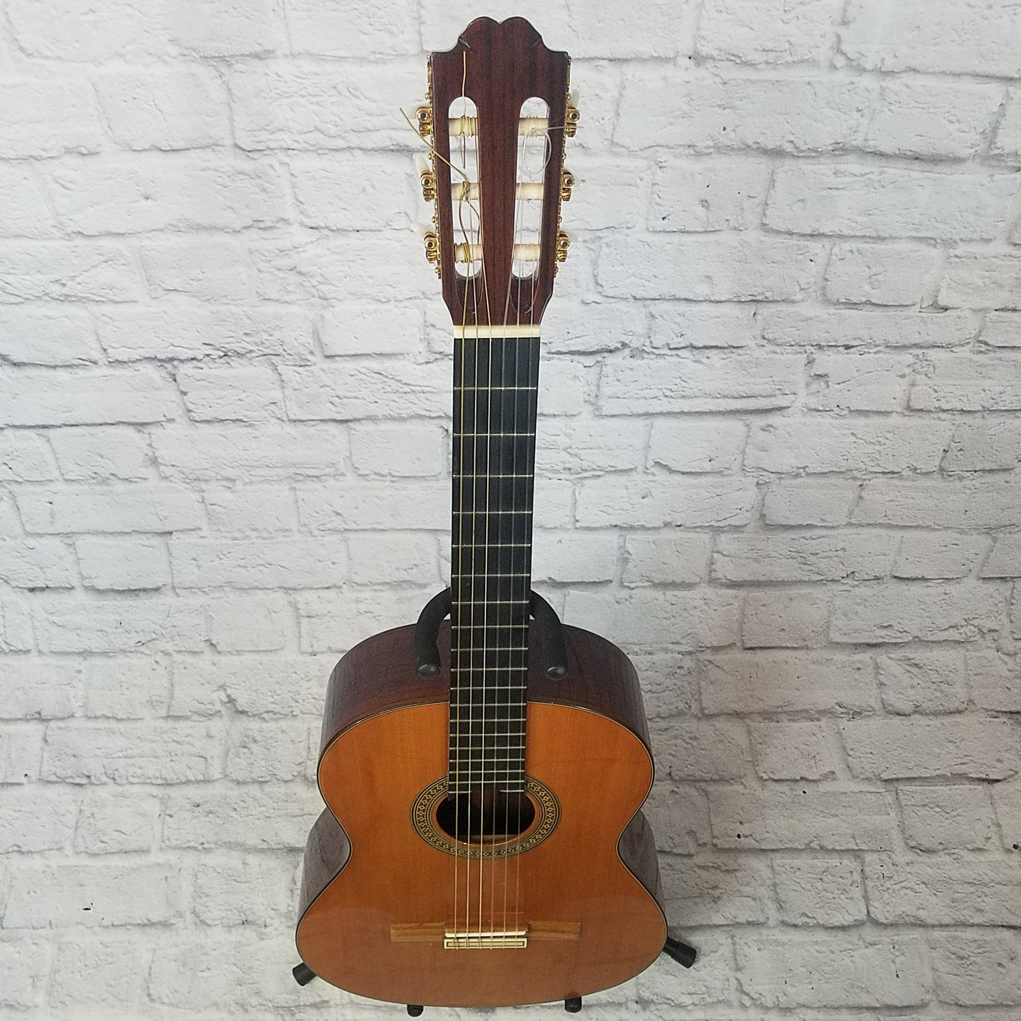 Francisco Domingo FG-27 Solid Cedar Wood Classical Guitar