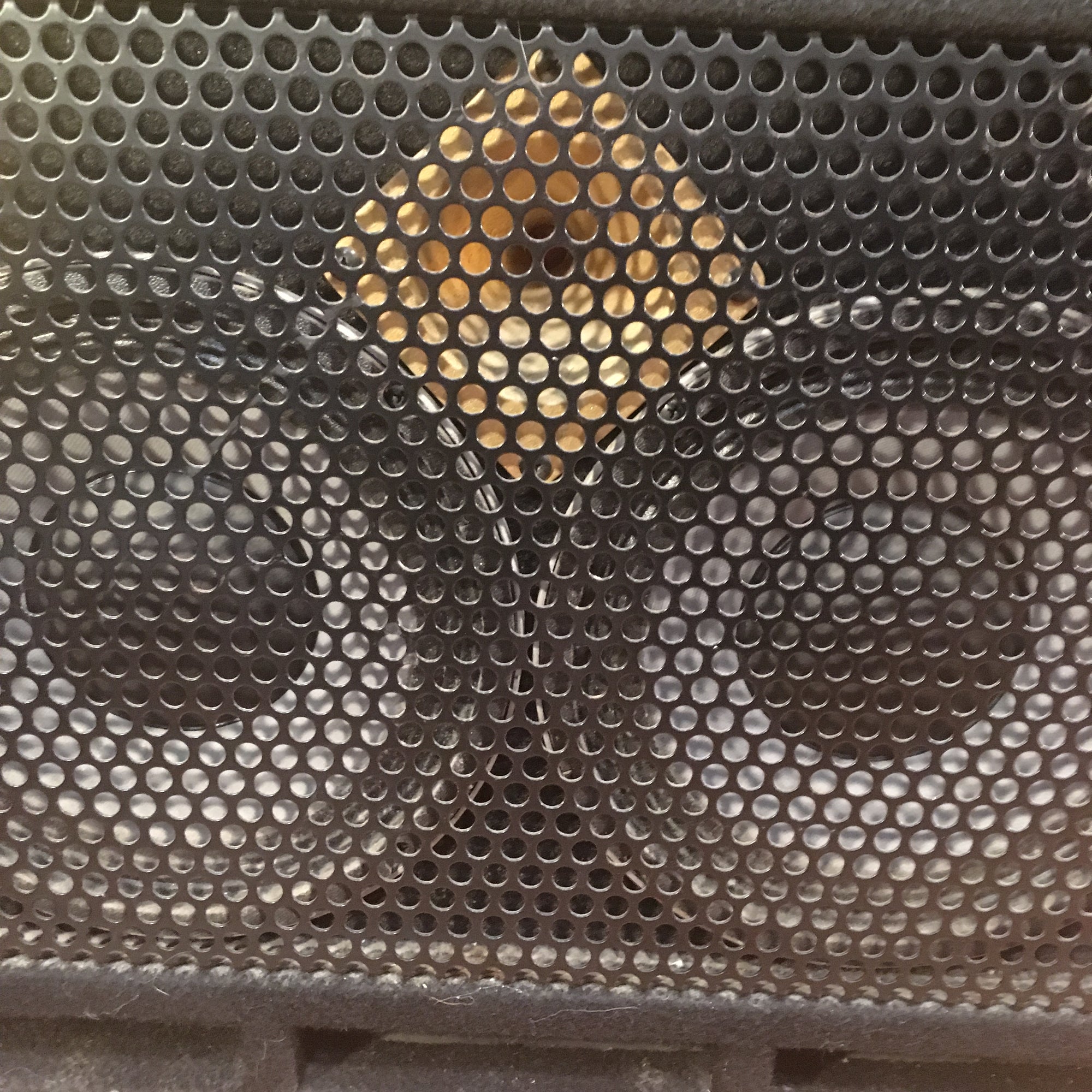 Eden DC210XLT 2x10" Metro Bass Combo Amp