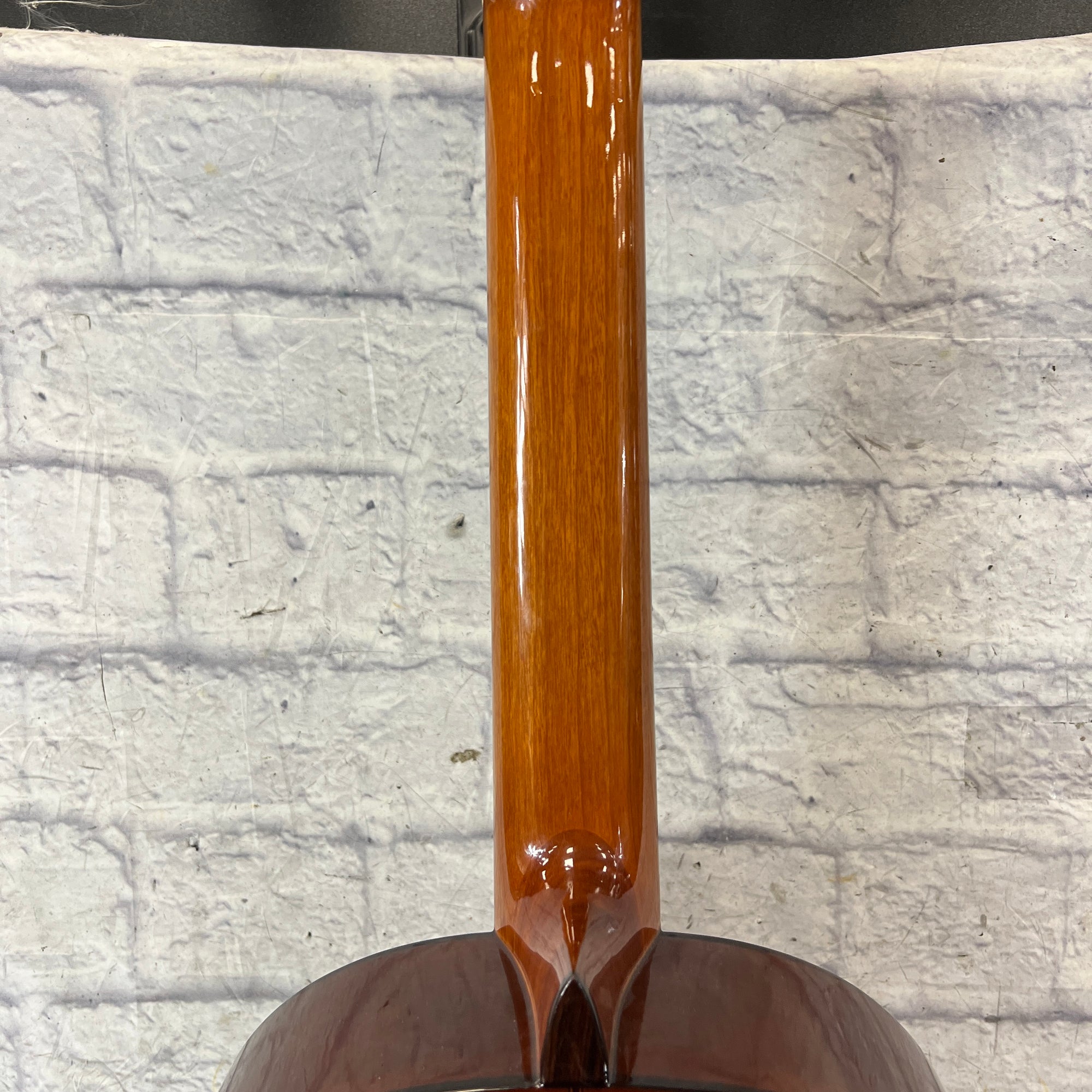 Washburn C30 Classical Acoustic Guitar