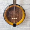 Luna Guitars Celtic 5-String Closed Back Banjo BGB CEL 5