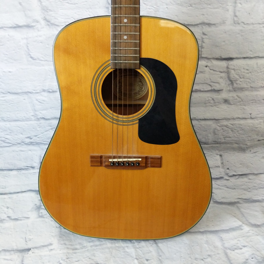 Washburn D12S Acoustic Guitar