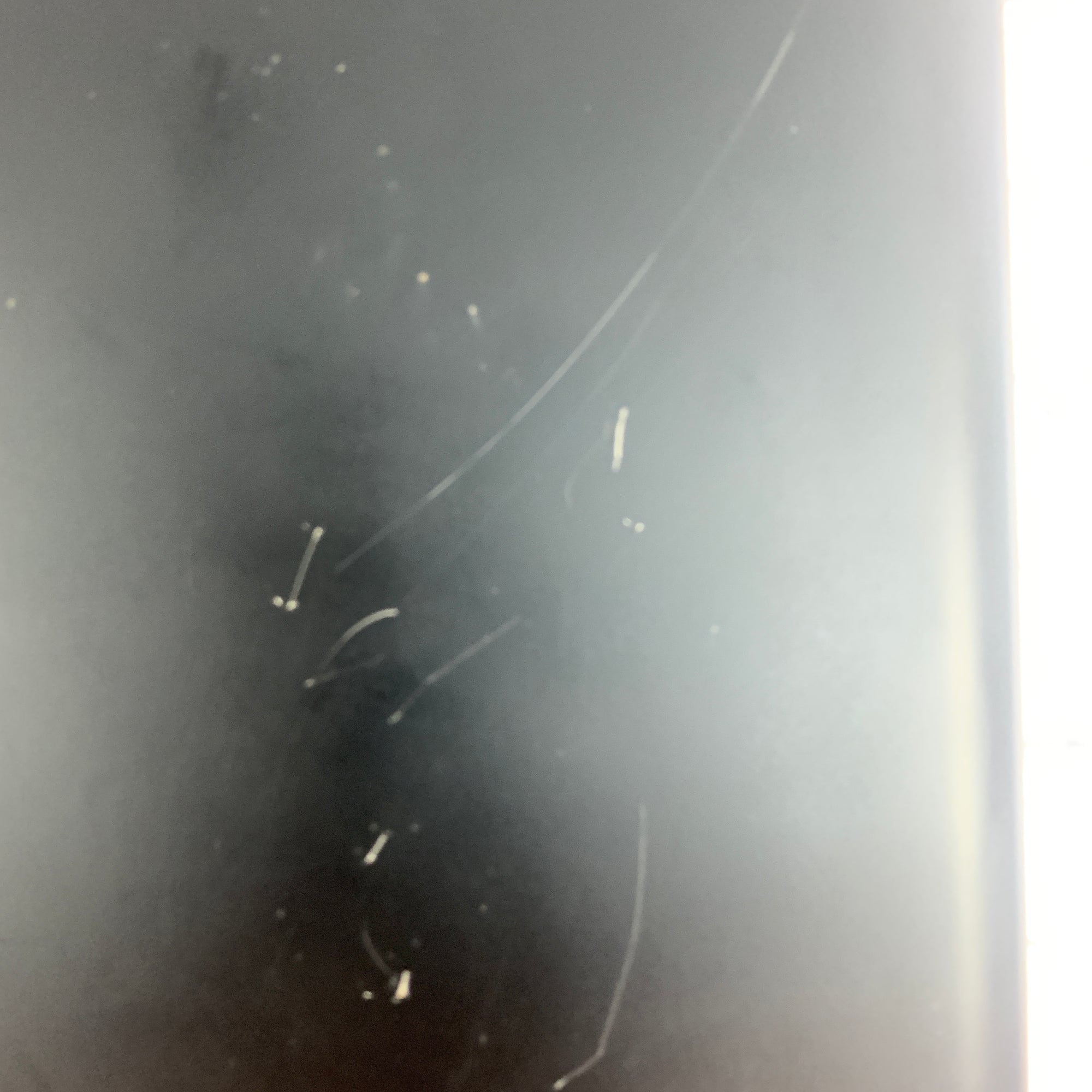 Tapco S8 Powered Speaker Pair