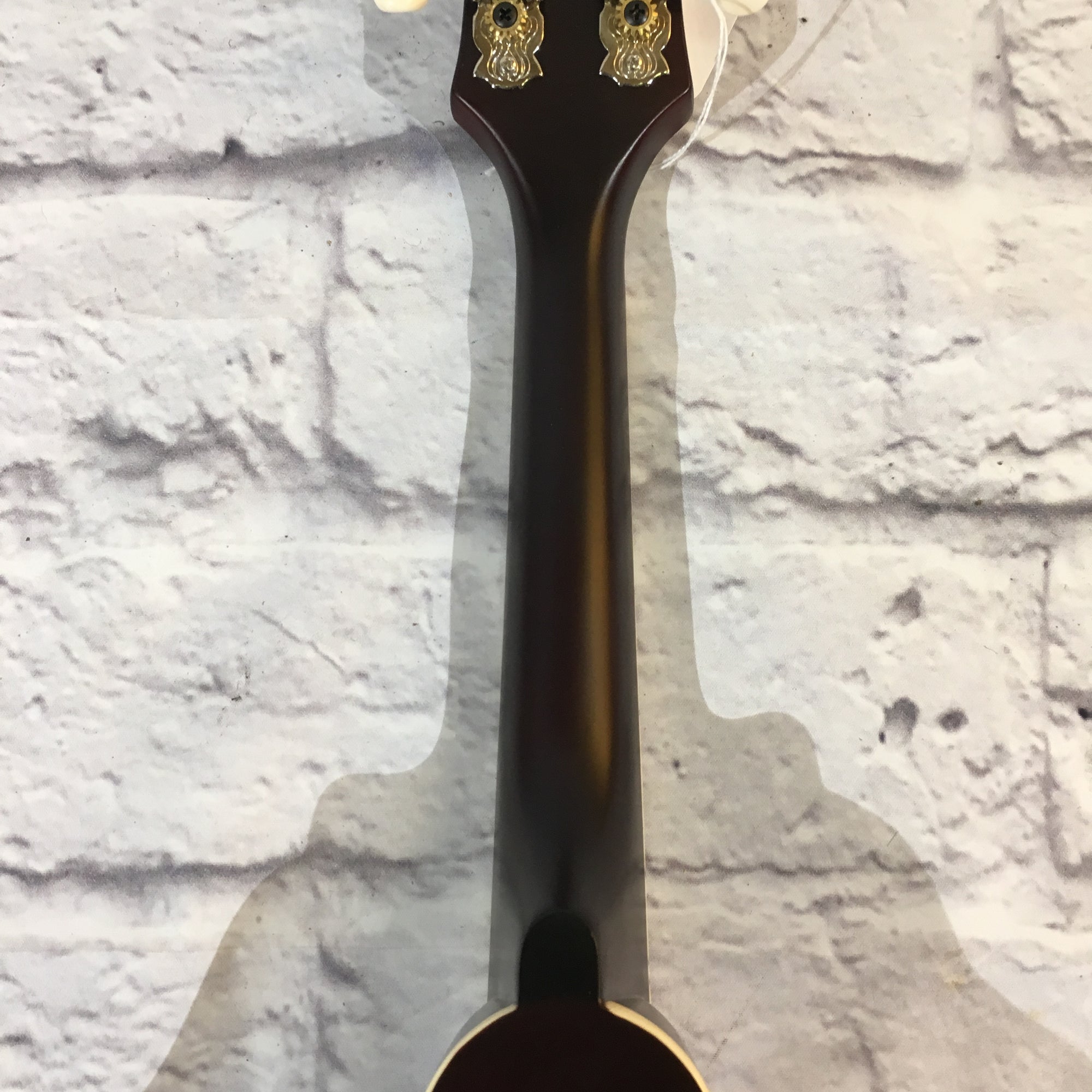 Recording King Century33 Limited Edition RAC-9-TS Mandolin