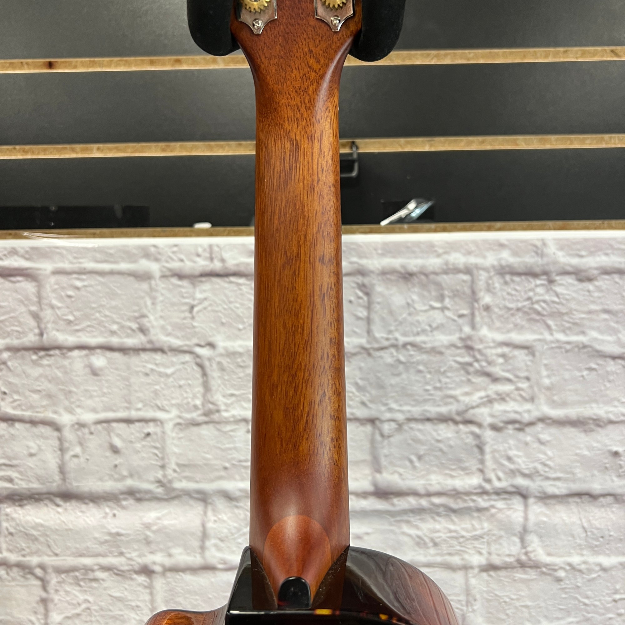 Breedlove Pursuit Ex CU CE BO Ukuleles