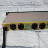 Furman PL-8 Power Conditioner and Light Module