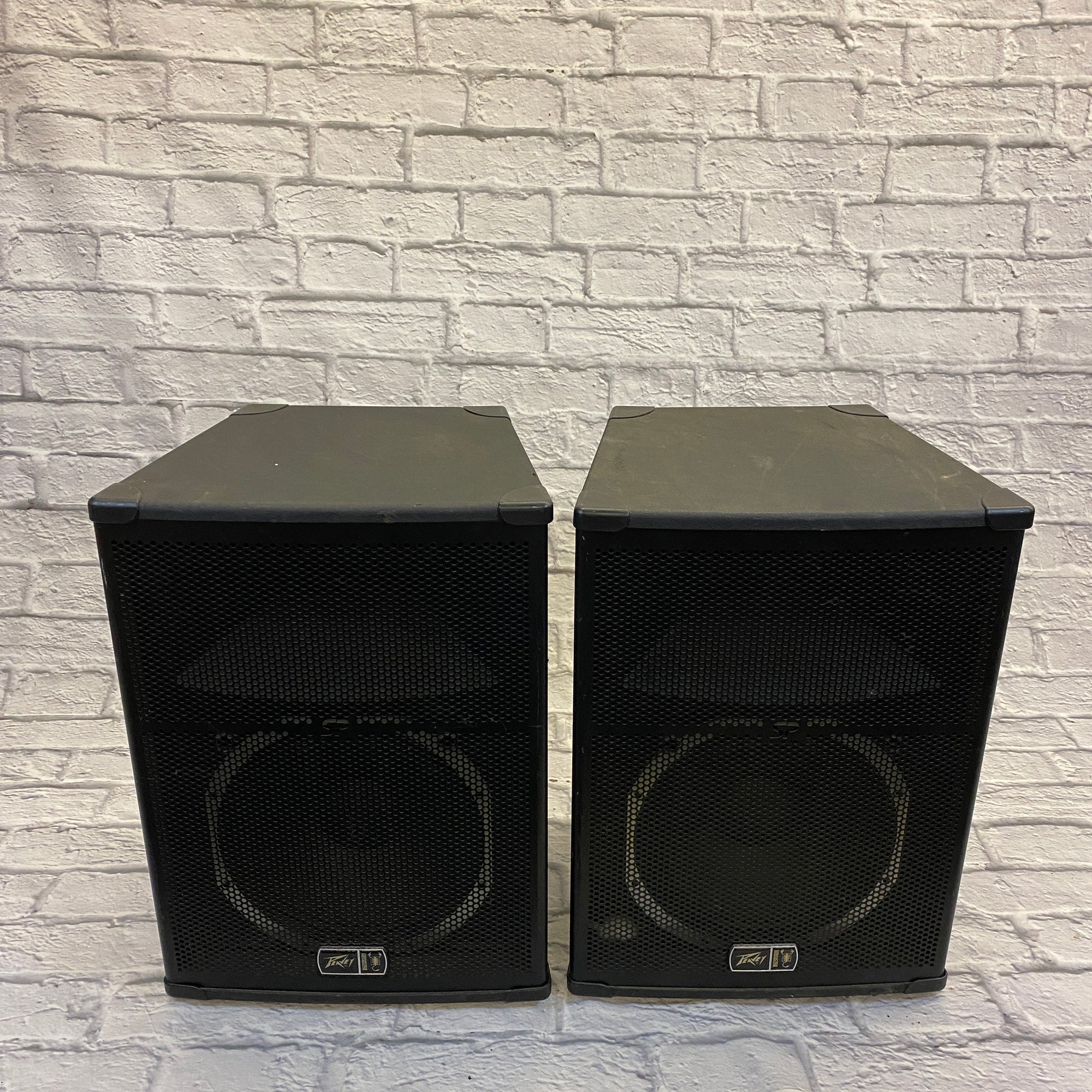 Peavey Scorpion SP5 15" Passive Speaker Pair