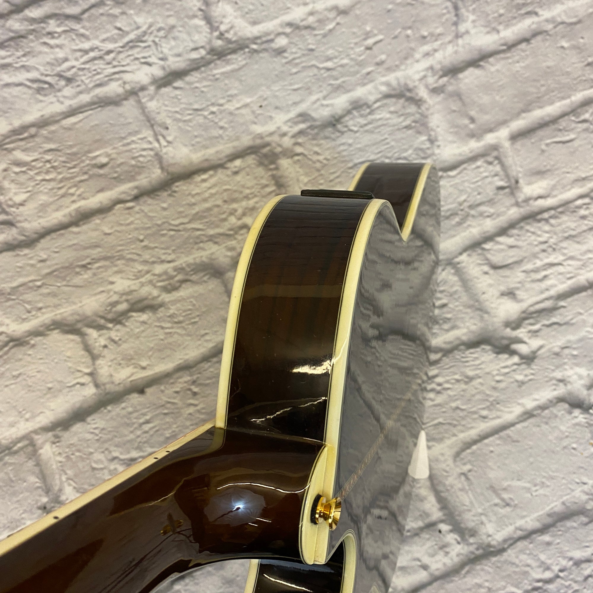 Foggy Mountain Guitars TBN-31 Thinline Jumbo Cutaway