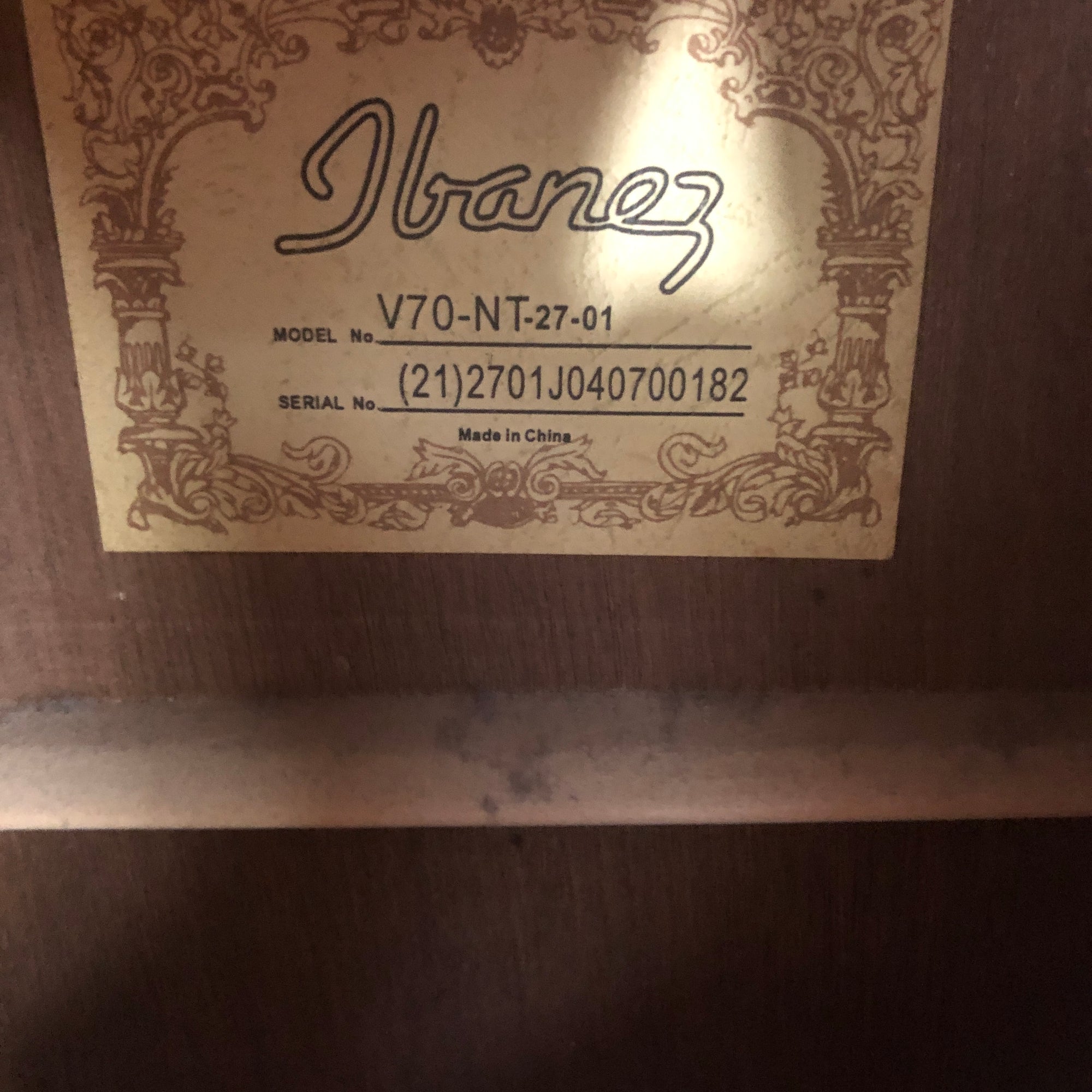 Ibanez V70 Natural Dreadnaught Acoustic Guitar