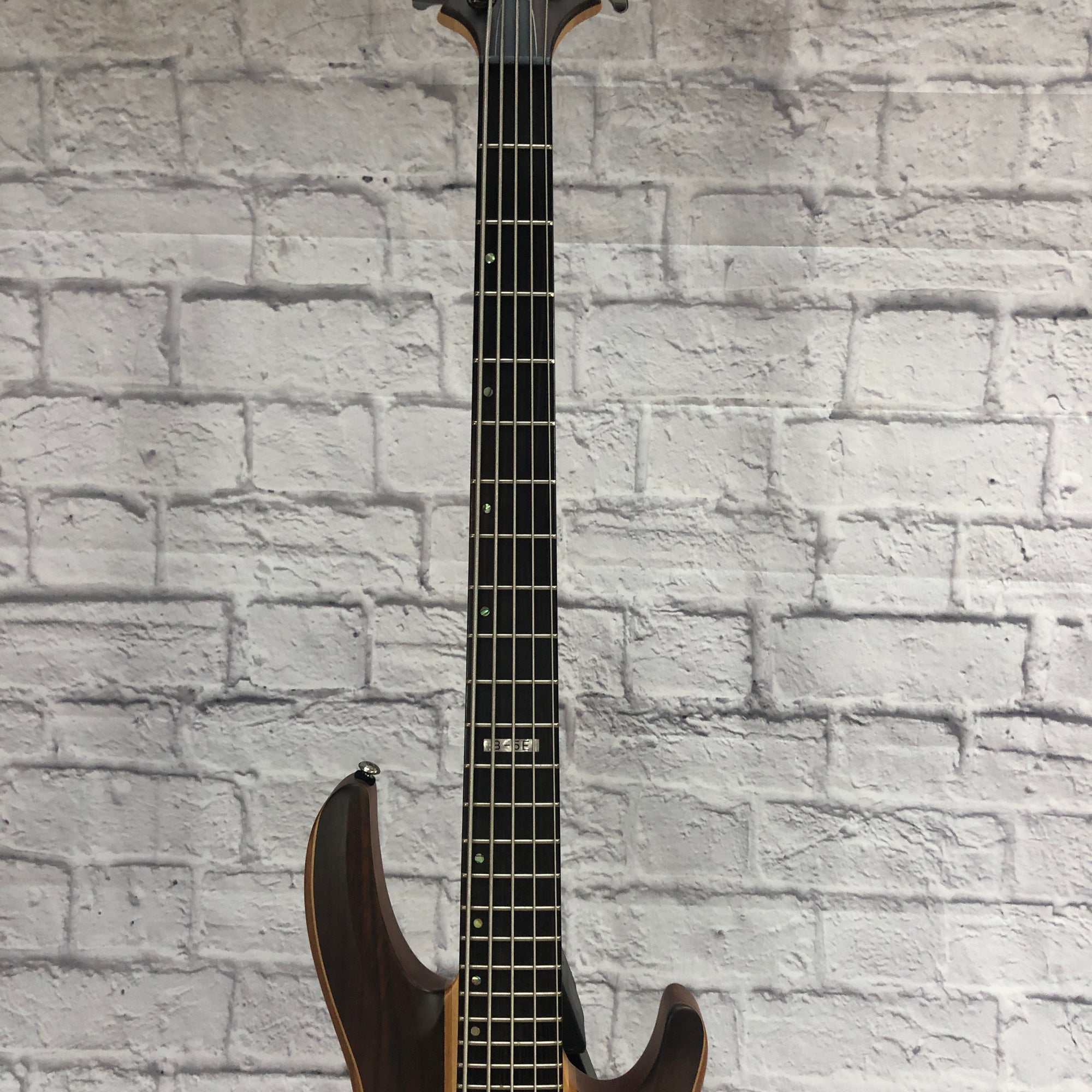 ESP LTD B5E 5-String Bass Guitar
