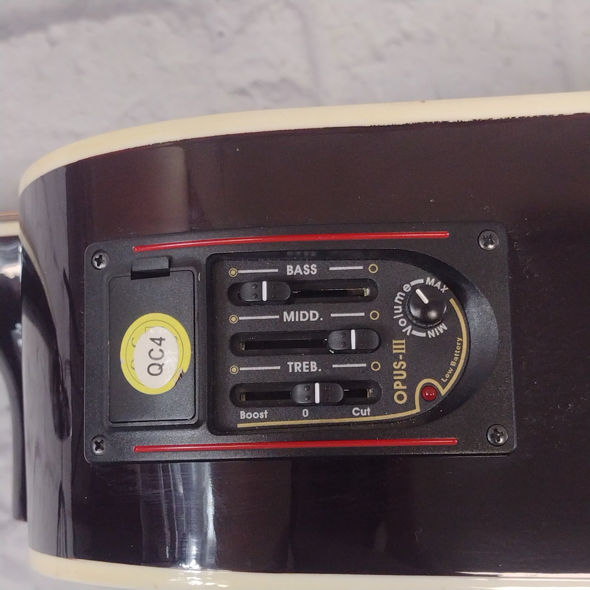 Esteban Acoustic Guitar