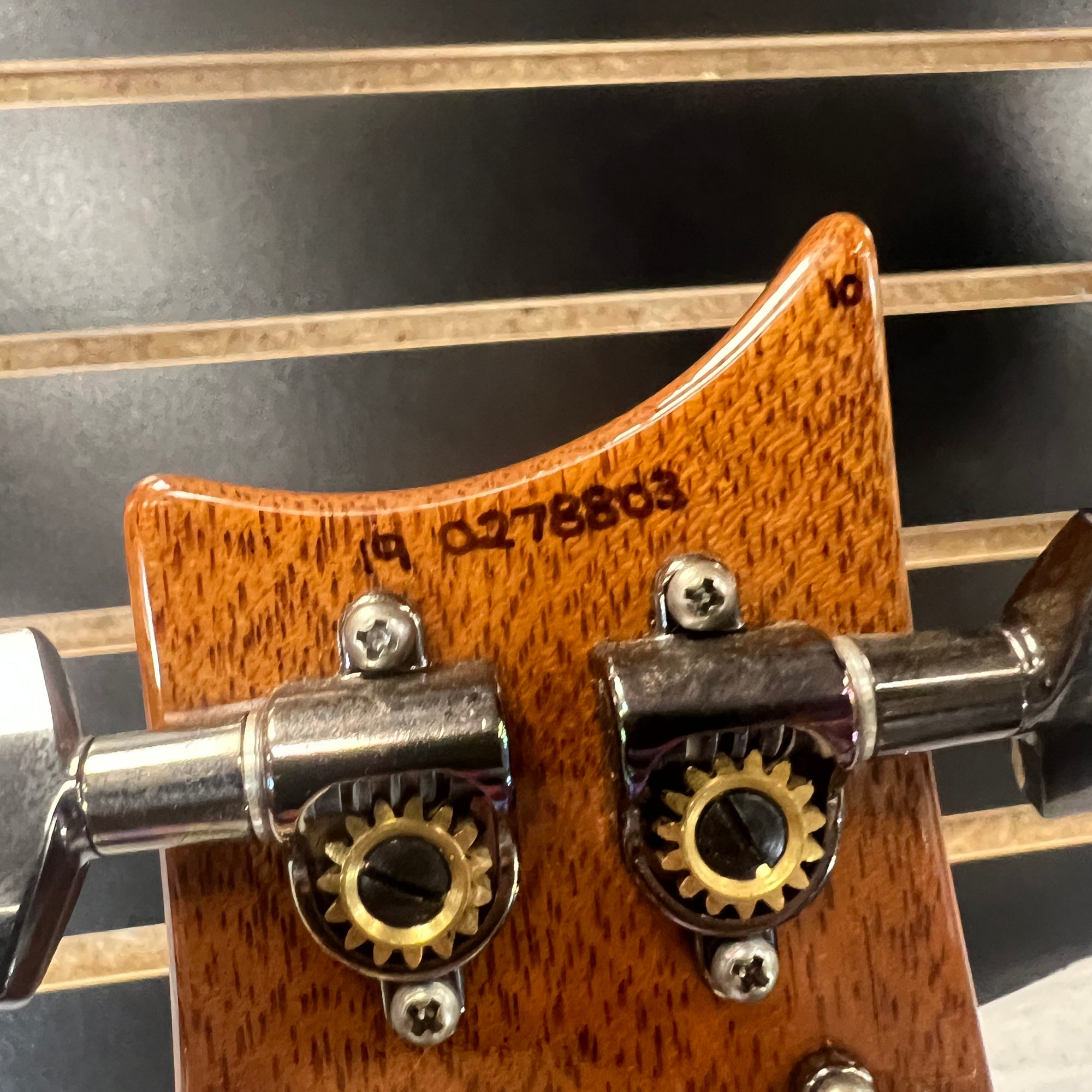 PRS Custom 24 Wood Library Electric Guitar