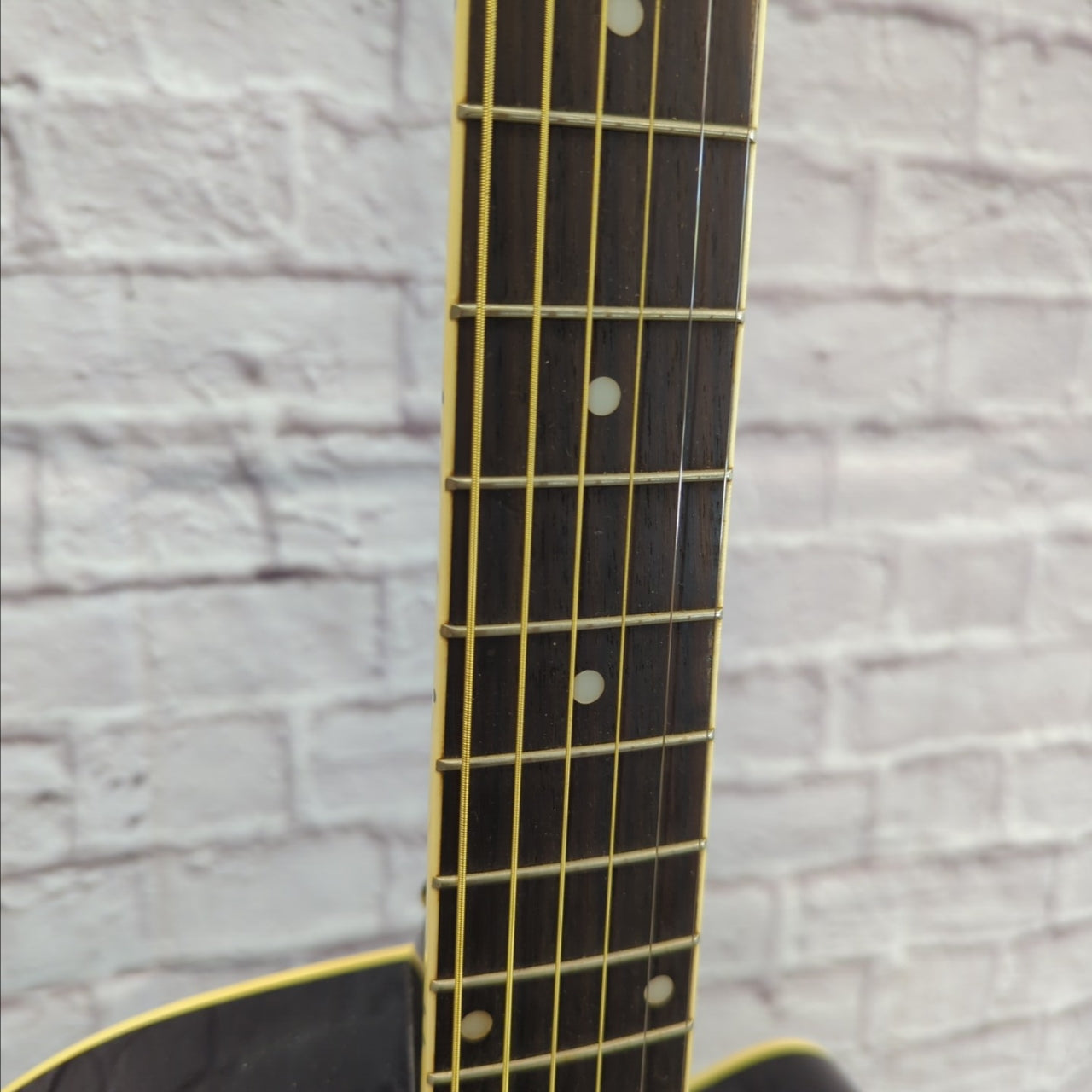 Ibanez AEG5 Thinline Acoustic Guitar
