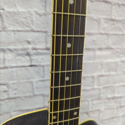Ibanez AEG5 Thinline Acoustic Guitar