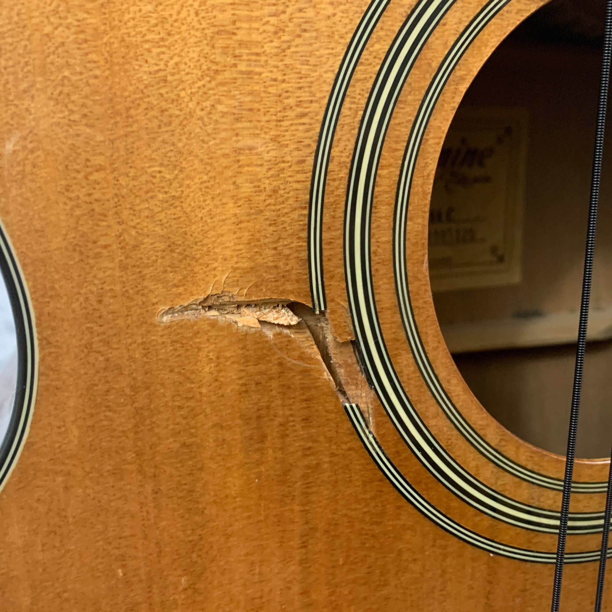 Jasmine S-44C Acoustic Cutaway AS IS