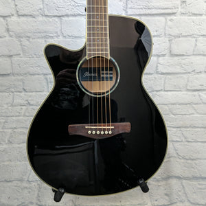Ibanez AEG10LIIBK Lefty Acoustic Electric Guitar in Black