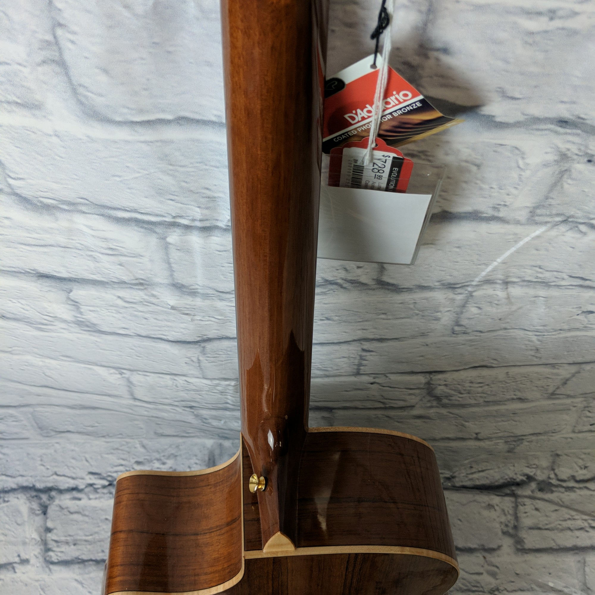 Luna Vista Bear Acoustic-Electric w/ Case Natural