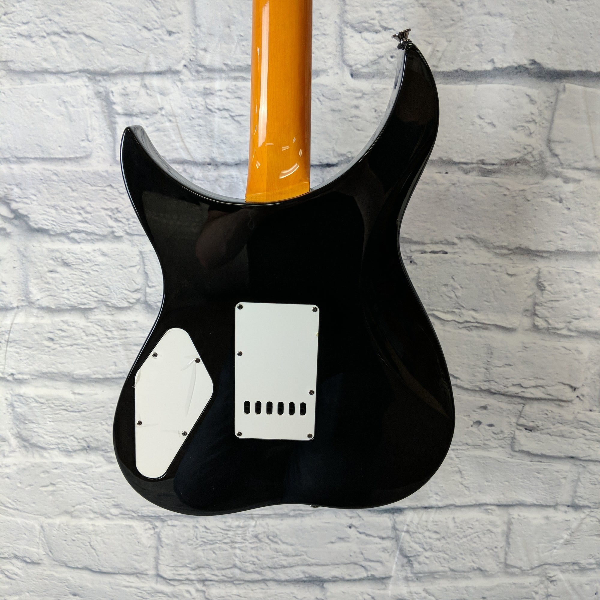 Samick RS20BLK Greg Bennett RS20 Rose (Black) - Evolution Music